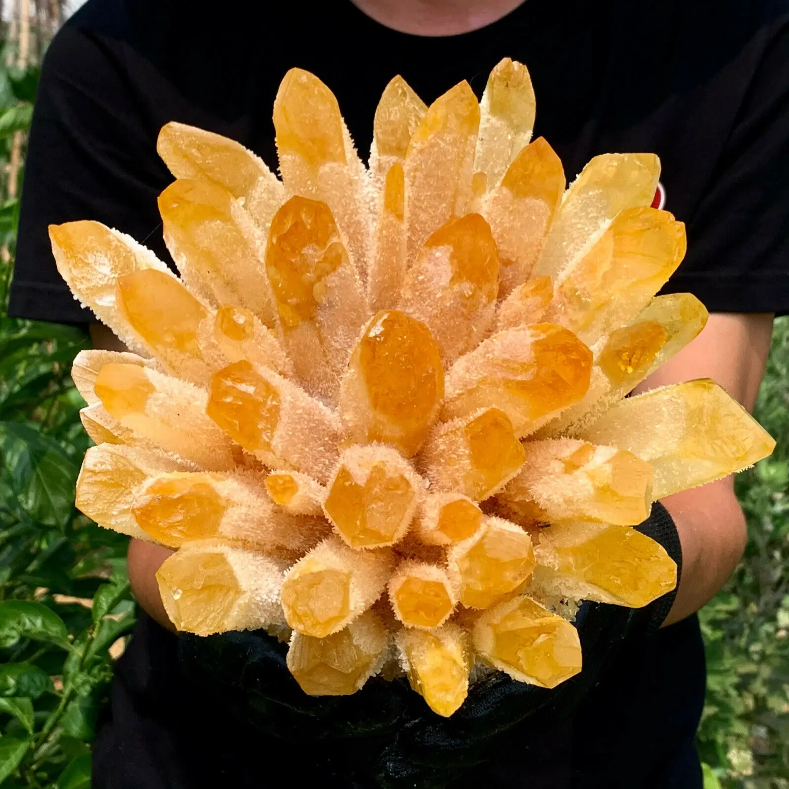 New Find Yellow Phantom Quartz Crystal Cluster Mineral Specimen Healing