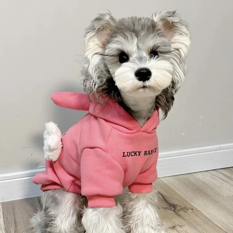 Dog Clothes Hooded Pet Clothes Kitten Clothes Dog Fluffy Sweater Autumn and Winter Warm Pet Hoodie Dog Jacket Puppy Clothes