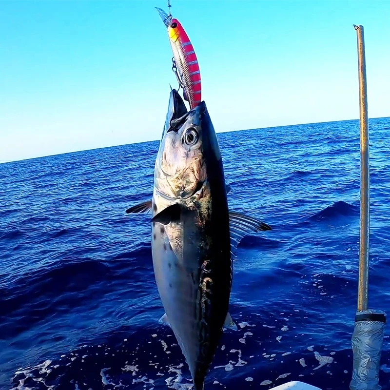 

TSURINOYA Тяжелая тонущая рыболовная приманка для гольяна 90S 90 мм 37 г STRIKER Высокопрочная жесткая приманка для дальнего заброса Модель тунца для морской рыбалки