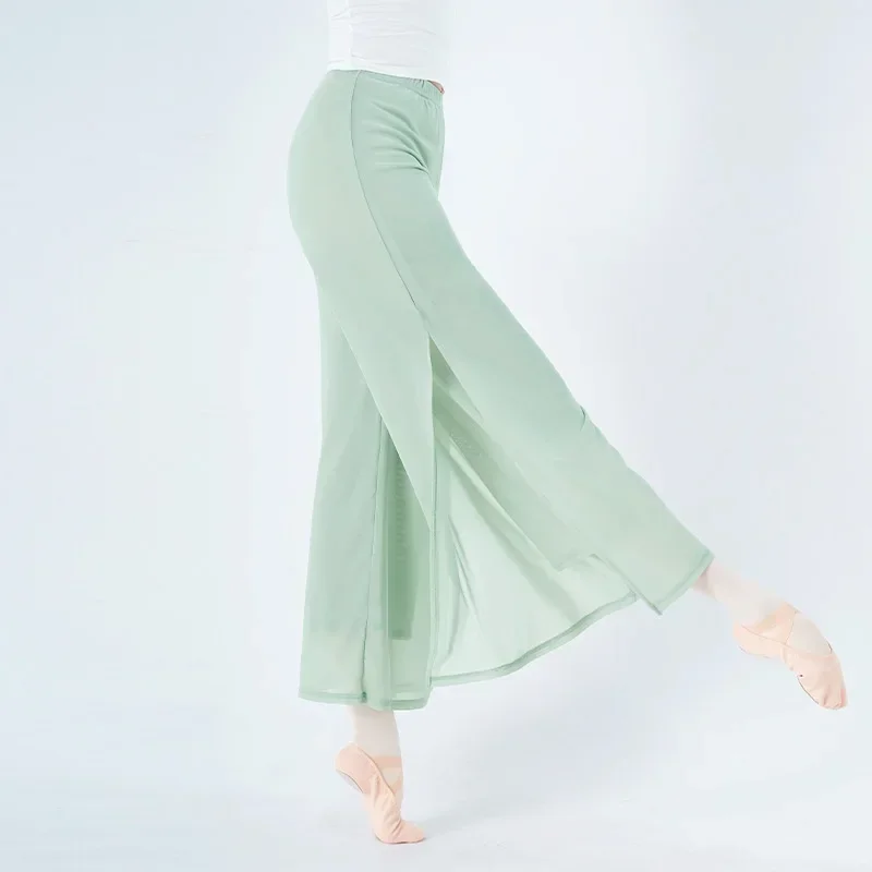 Women's Classical Dance Pants Chinese Folk Practice Dance Pants Elegant Adult Double-layer Mesh Splice Side Split Trousers