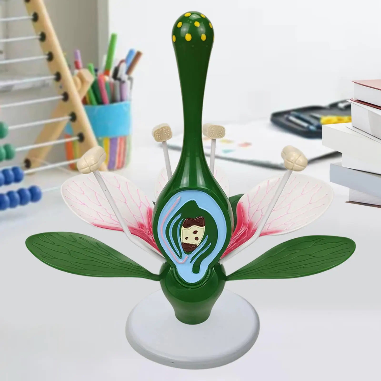 Dicot Flower Model,Biology Teaching Instrument,Desktop Decor,Lightweight, Sturdy,Learning Toys Peach Blossom Flower Model