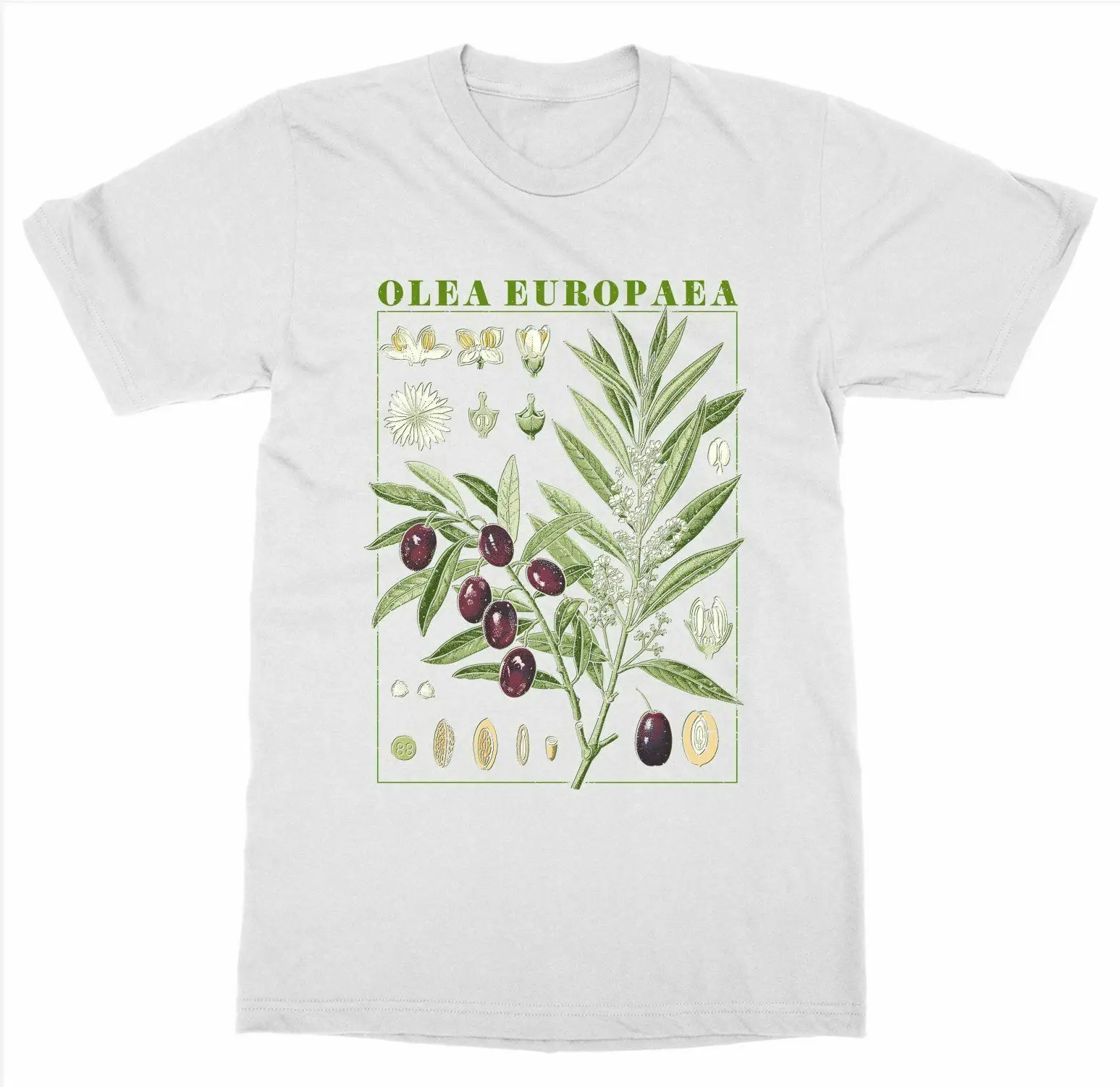 Olive Botanical T-Shirt Botany Bloom Fruit Flower Grow Garden Plant Print Art Summer Cotton Short Sleeve O-Neck Unisex T Shirt