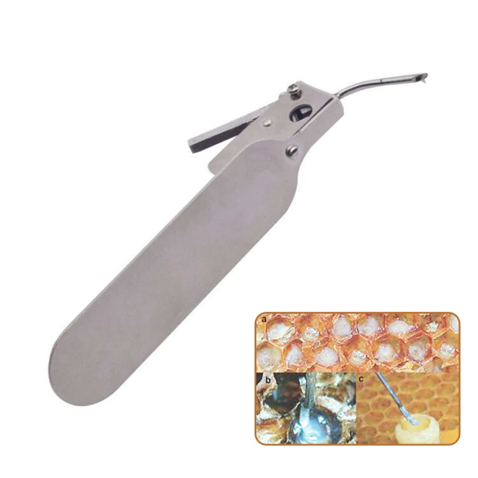 Master Worm Grafting Tool with Spare Tongue for Moving Queen Bee Larva