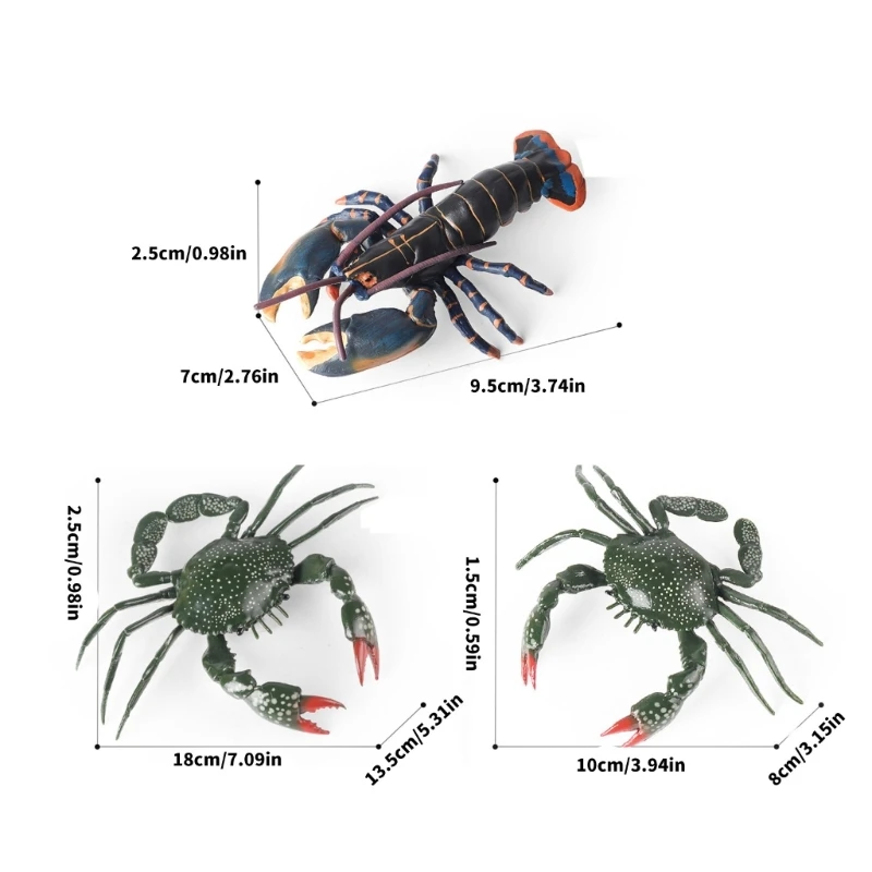 Fascino Granchi Gioca con figure Regali per appassionati animali adatti a tutti i sessi 85LE