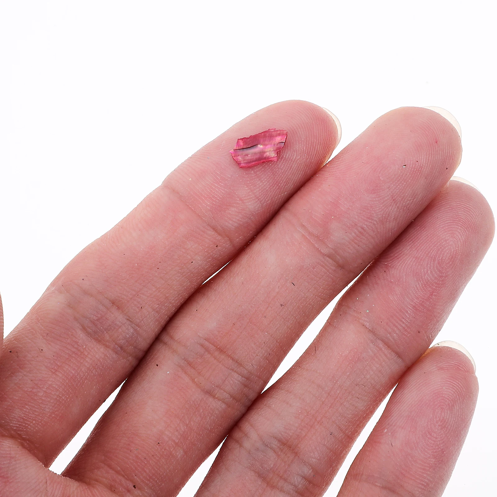 

1 Box Natural Shell Nail Art Charms Creative Manicure Decoration for Women Nails Fake Nails DIY Nail Gems Manicure Supplies