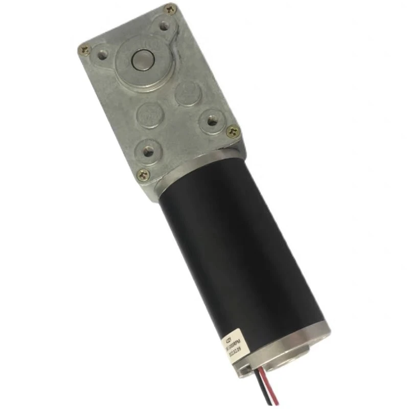 DC reduction motor Reducer in motor High torque self-locking motor WS-5073GW-42XY-DC-12V-312rmp