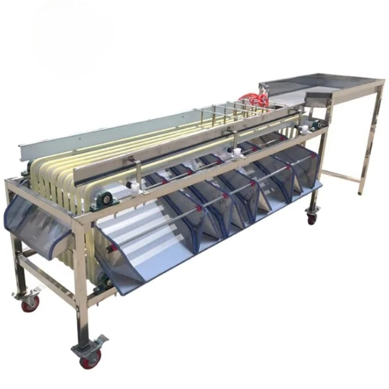 Dates Size and Color Sorted Machine Coffee Walnut Size Sorting Machine