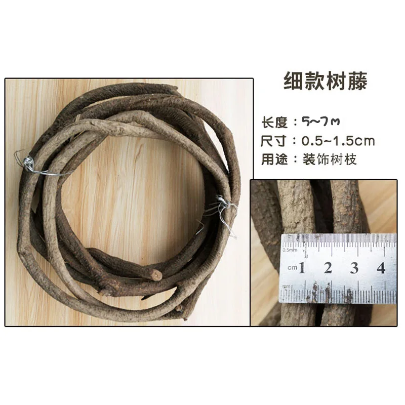 500~700CM Real Plants Tree Vines Alive Flexible Rattan Real Touch Branches Liana Wall Hanging Rattan Wedding Decoration Flowers - Image 3