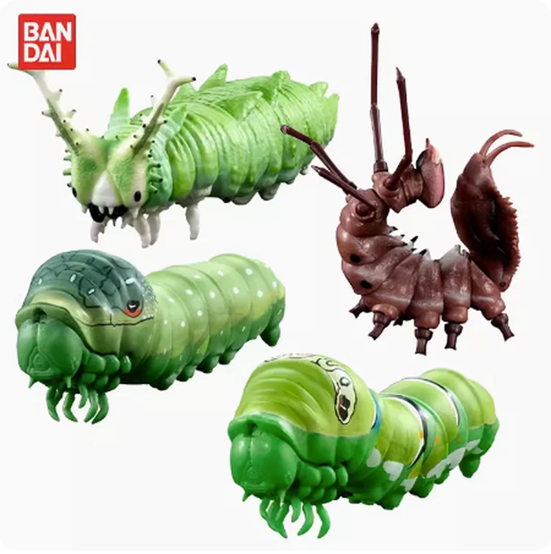 Caliente Bandai japonés Gashapon huevo gran mapa biológico de gusano insecto simular biología conjunta modelo móvil Juguetes