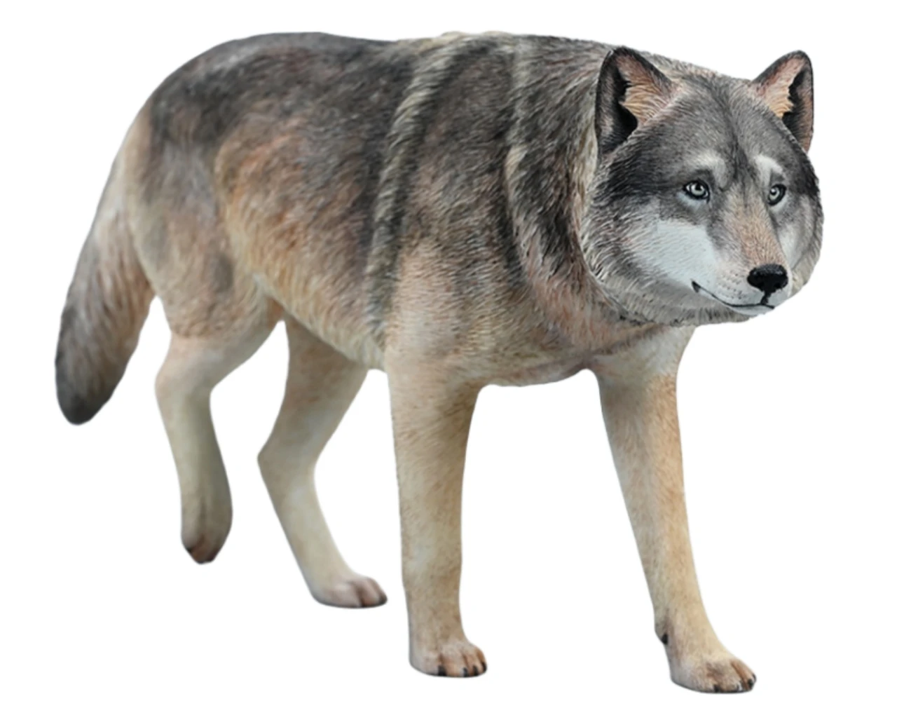 

HiPlay JXK Wolf Common Gray Wolf Expertly Hand-Painted Lifelike Safe Resin 1:6 Animal Figurine