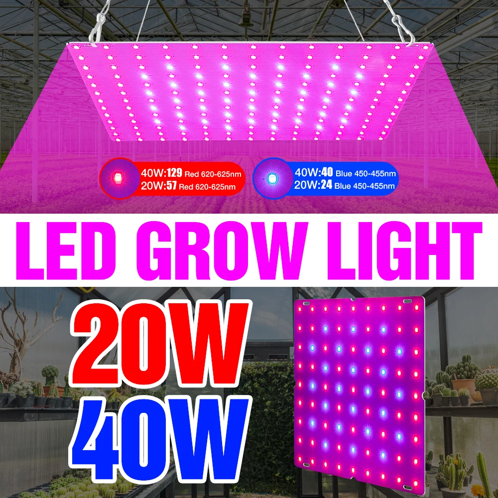 

LED Plant Growing Light 220V Phyto Lamp Full Spectrum Grow Light 20W 40W Greenhouse Phytolamp For Plants Seed Of Indoor Flowers