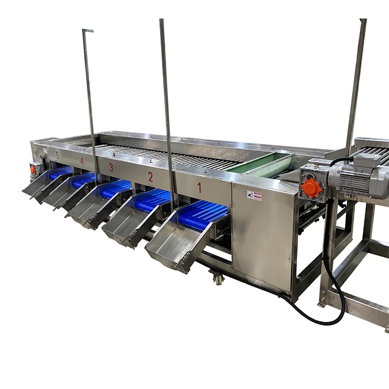 آلة تصنيف الطماطم الكرزية الآلية الدقيقة المتقدمة نباتات معالجة الطعام 304 SS #3