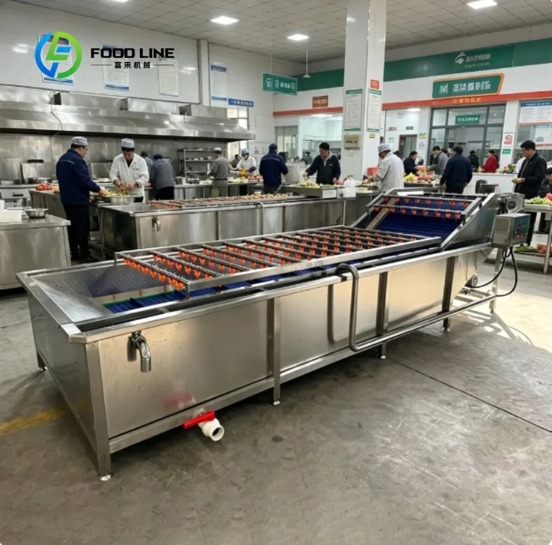 Bubble Washing Machine High Efficiency Fruit Vegetable Cleaning System for Commercial Food Processing