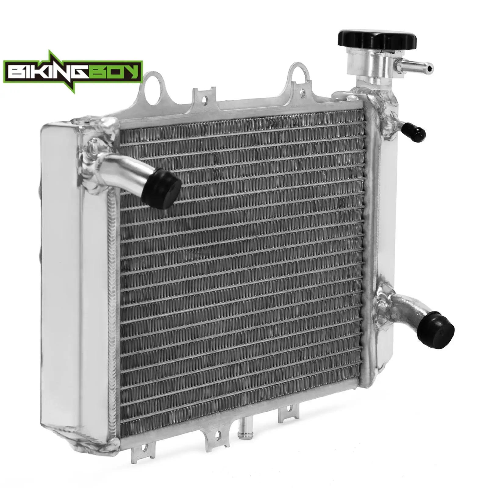 BIKINGBOY For BMW G310GS 18 19 20 21 22 G310R 2017-2022 Engine Radiator Cooling Water Cooler G 310 GS R Polished 17118558350