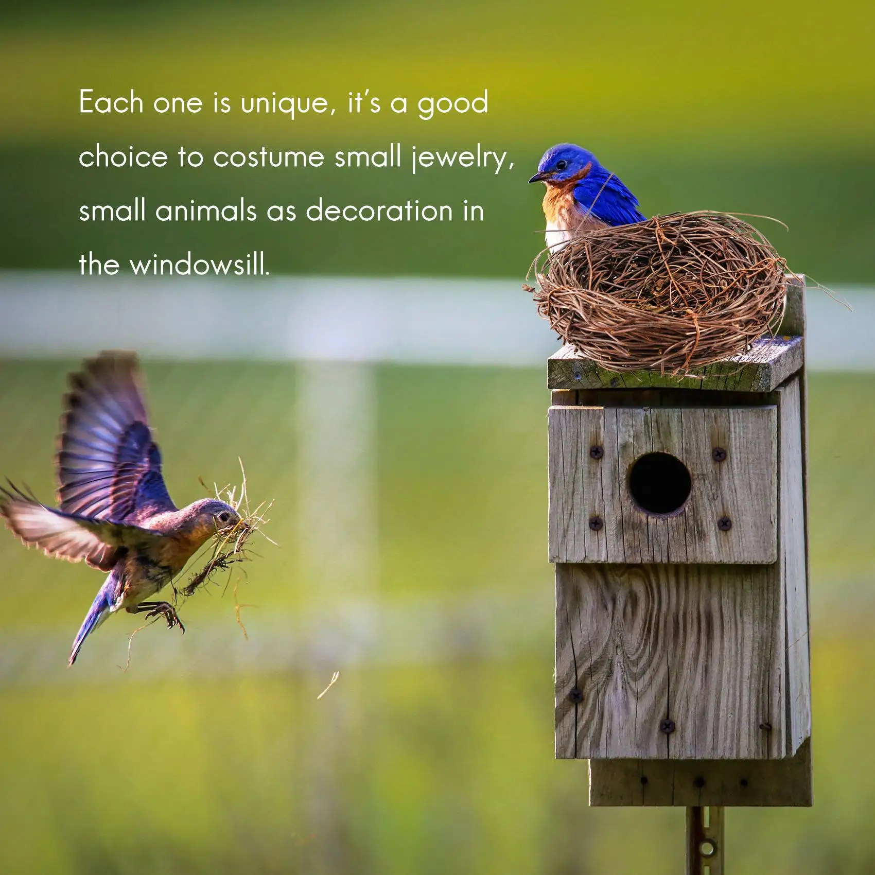 Handgemaakte Wijnstok Vogel Nest Huis Natuur Ambachtelijke Vakantie Voor Foto Tuin Decor