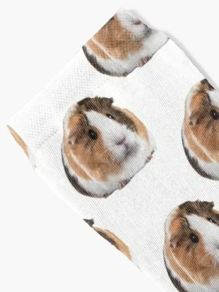 مجموعة جوارب خنزير غينيا اللطيفة على الأرض جوارب رياضية للجولف للرجال والنساء #2