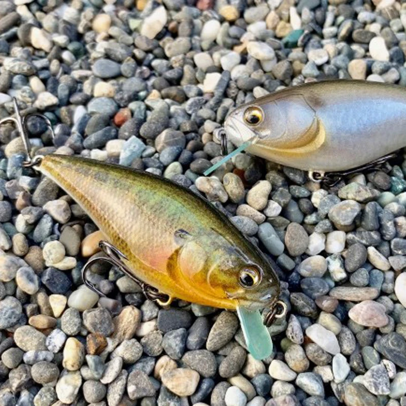 Japan Imakatsu New … - image