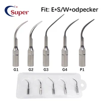 Puntas de escalador Dental, punta de escalado ultrasónico apta para eliminación de cálculo Dental UDS G1 G2 G3 G4 P1, material de odontología para blanqueamiento Dental