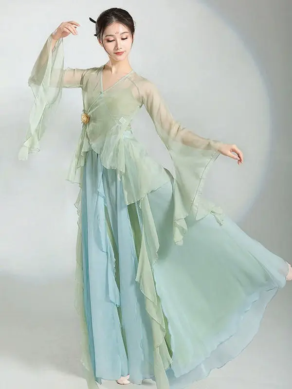 Chinese Classical Dance Dress Flowing Chinese Style Half Skirt Chiffon National Style Stage Performance Costume