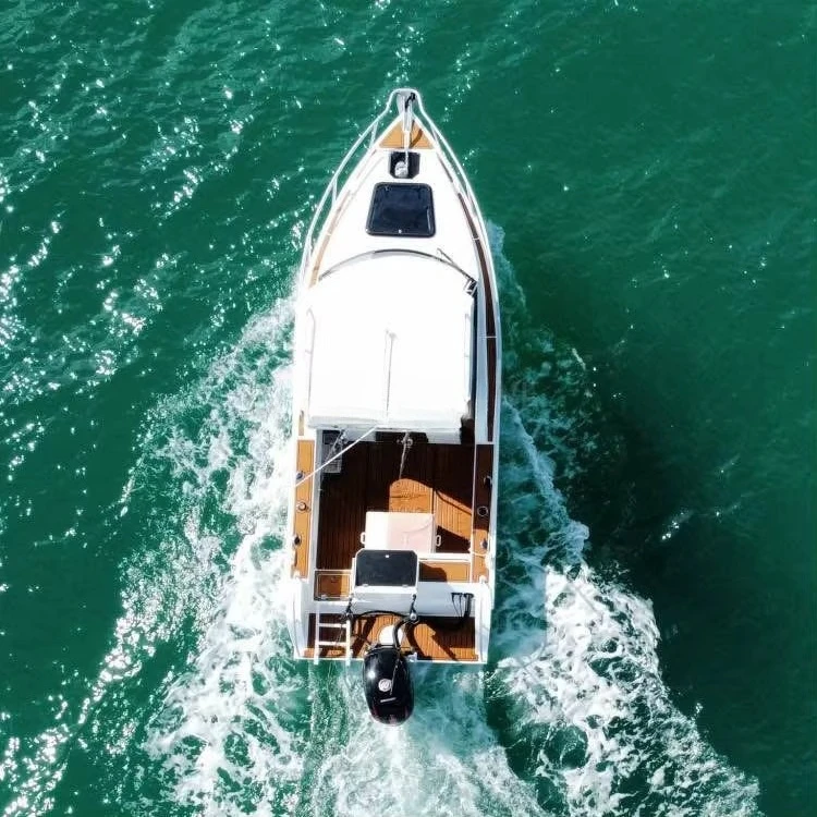 Canada-USA New Design Welding Speed Aluminum Fishing Boat Cruiser with Trailer