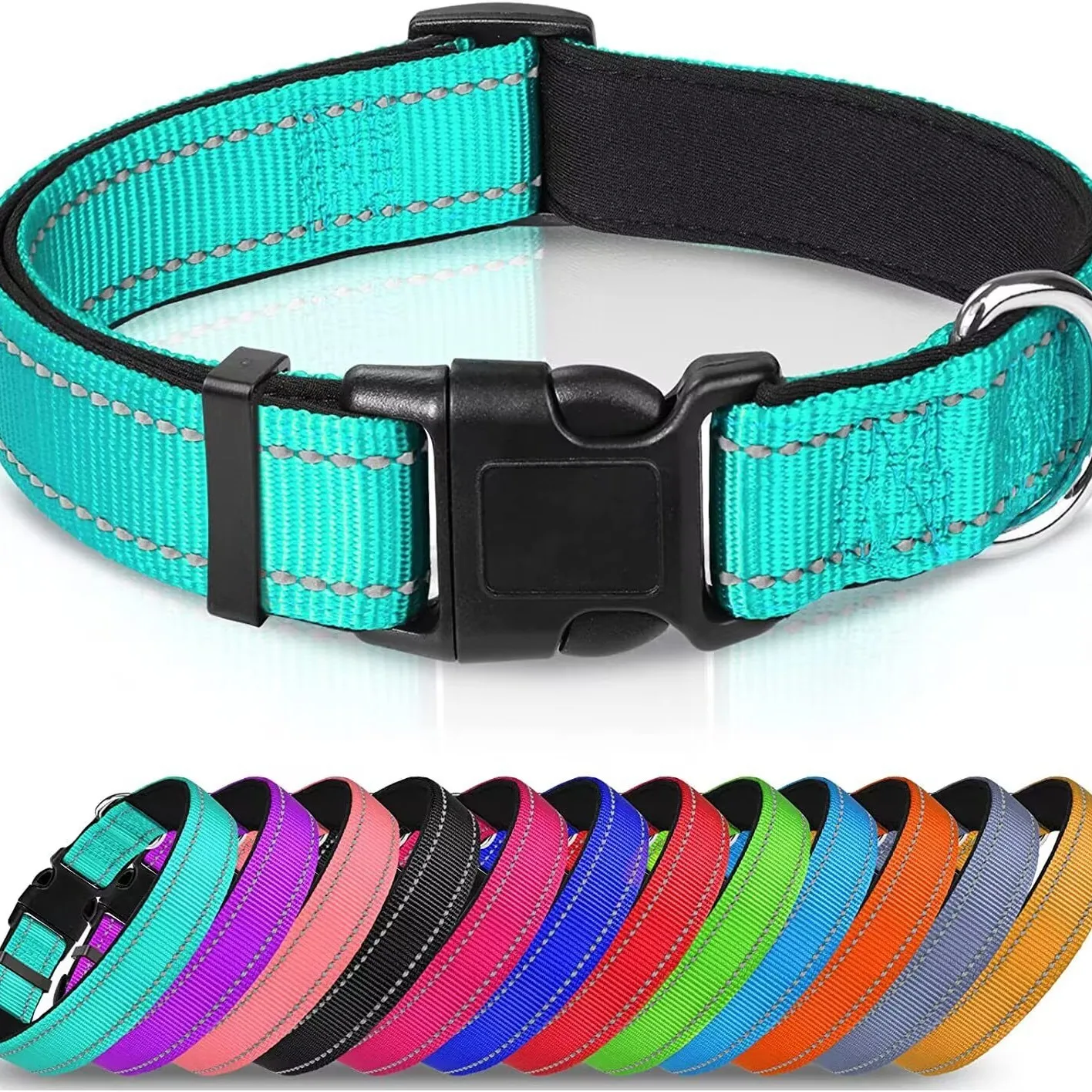 Dog Collar 1