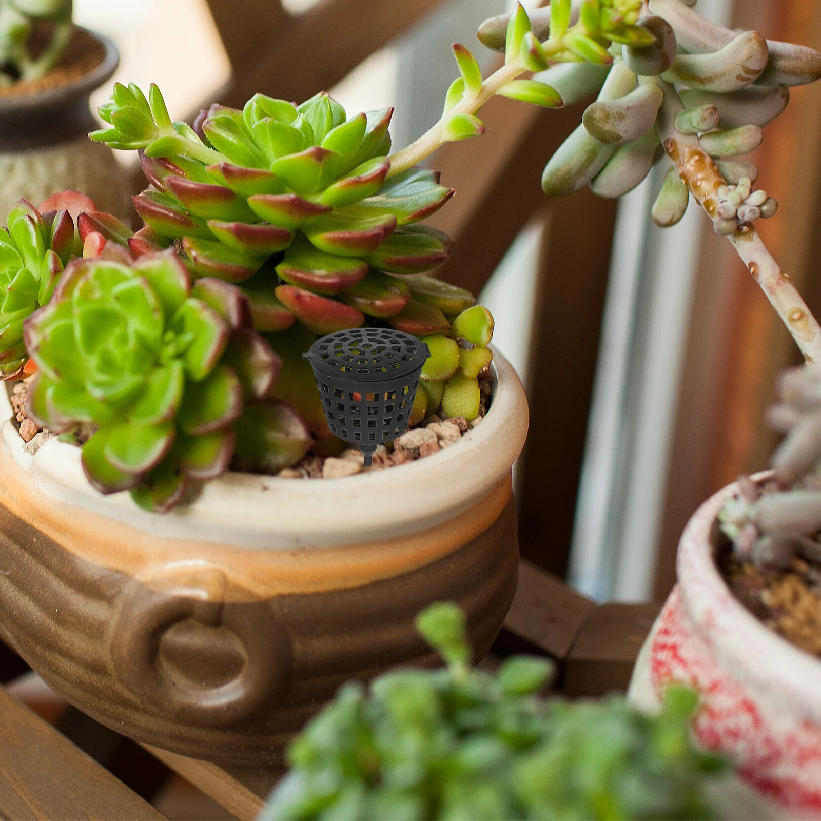 

100Pcs Plastic Fertilizer Basket Black Size L High Quality Fertilizer Box Protect Plants Easy Insert for Bonsai Orchid Flower