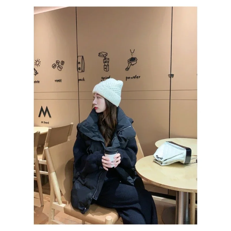 Autumn and Winter New Women's Loose Outer Vest Fashionable Internet Famous Down Cotton Vest Fashionable Casual Cotton Vest