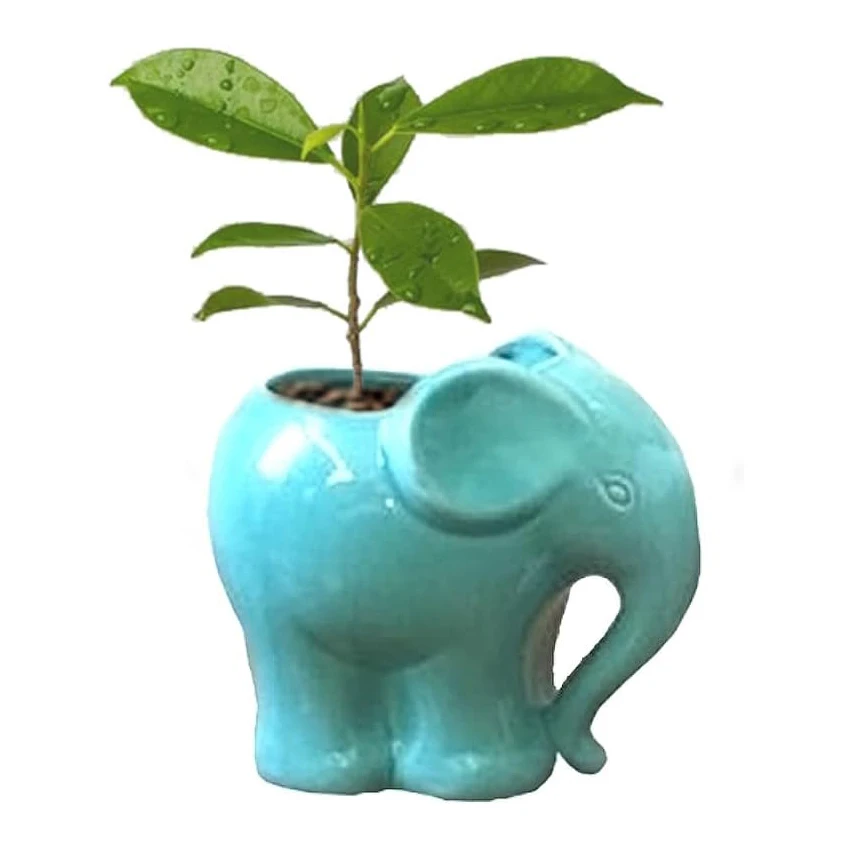 Ceramic Elephant Pencil Holder, Pen Holder, Plant Pot, Bonsai Pot, Flower Pot, Succulent Planter, Elephant Gifts, 3.9\