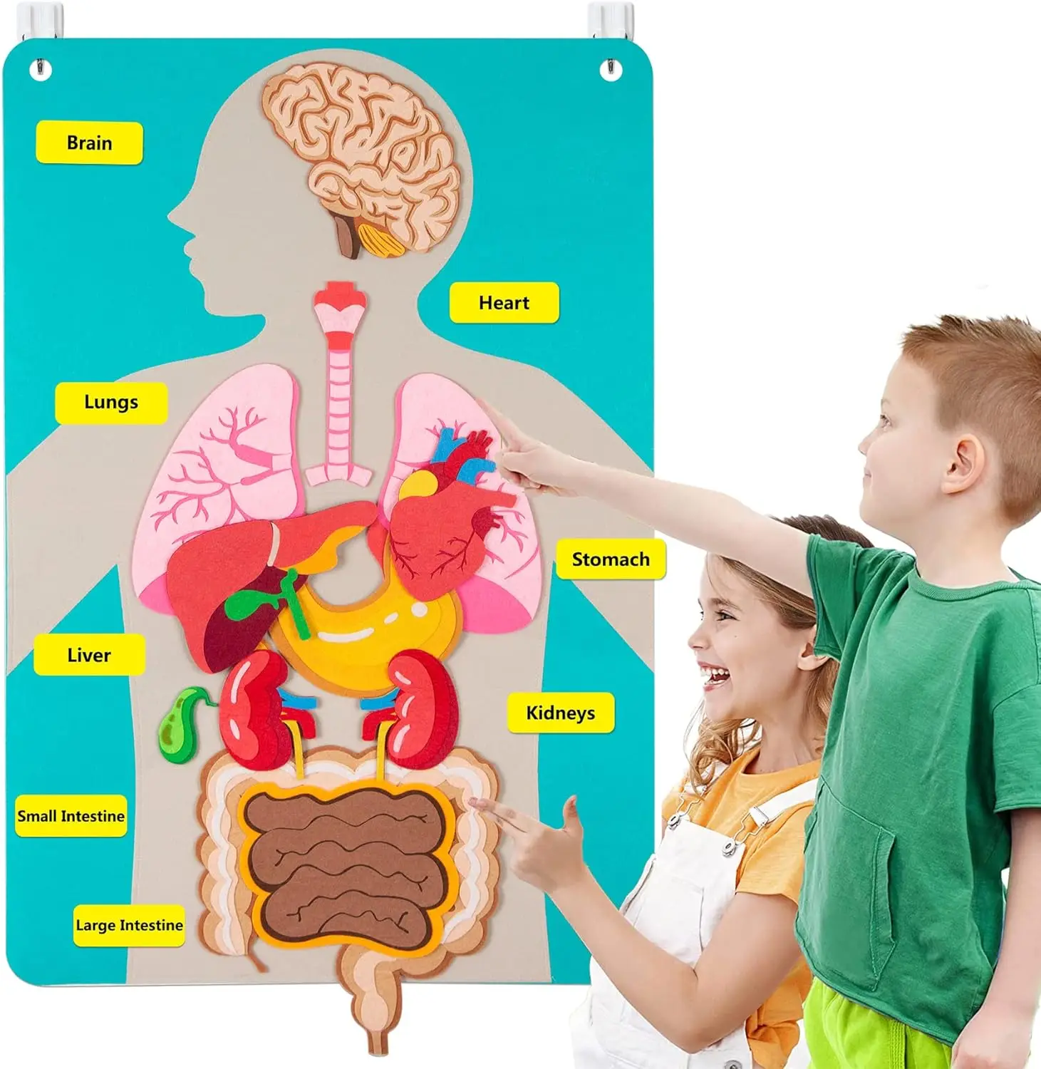 Teaching Body Parts Felt Board Stories for Toddlers Arts Crafts Toys Early Learning Human Body Wall Chart Set Class Supplies