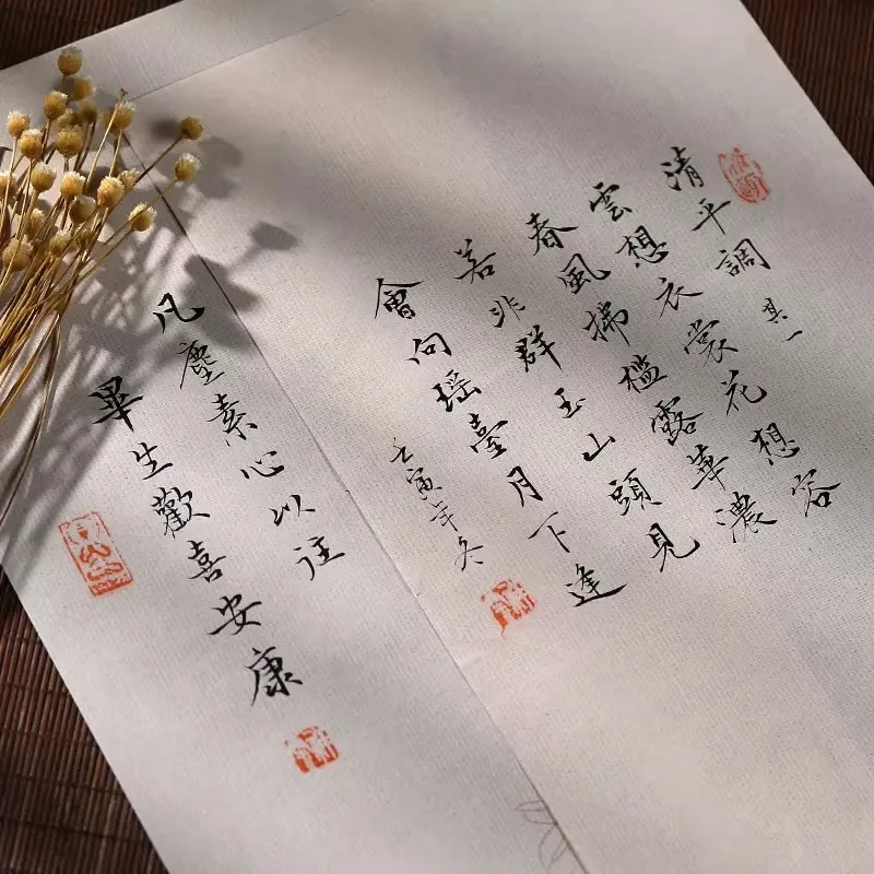 

20 шт. китайской бумаги для каллиграфии Xuan, вощеностойкие окрашенные листы для рукописных работ, гладкая полуготовая рисовая бумага 17x34 см