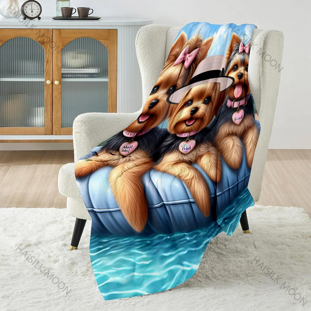 Bonito 3 yorkshire terriers co - Outdoor Kids Yorkshire avaliação e preço