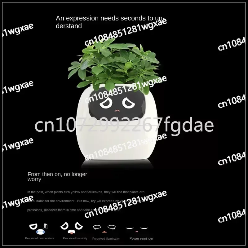 New Smart and Cute Pet Pet Pot Ivy Table Top Green Plants Let Your Plants Express Emotions