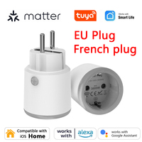 Matter Wifi Smart Socket 16A EU / French Smart Plug Use Tuya App with Power Monitoring Works with Homekit Alexa Echo Google