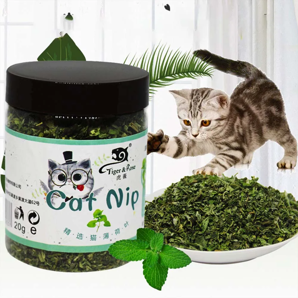 عضوي 100% طبيعي عالي الجودة النعناع البري الماشية العشب النعناع طعم مضحك القط لعبة جديدة لعبة القط التفاعلية مستلزمات الحيوانات الأليفة