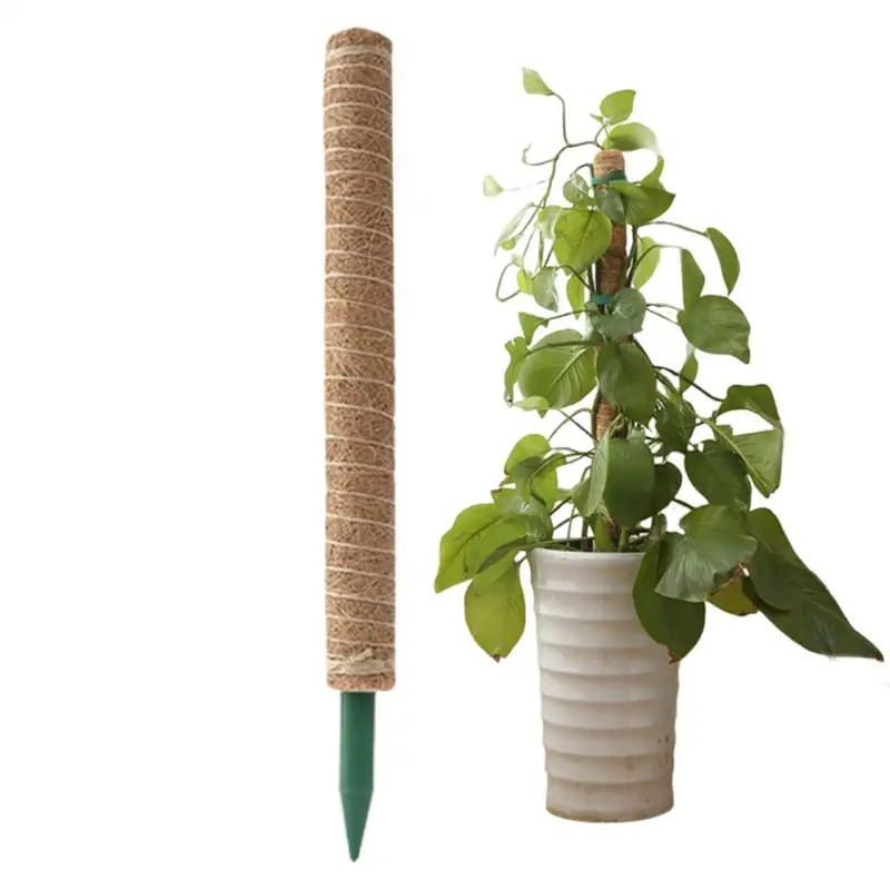 جوز الهند النخيل عصا جوز الهند الطوطم نبات تسلق القطب Monstera حصة هيكل قوي إكسسوارات الحديقة تعريشة داخلية ل Pothos