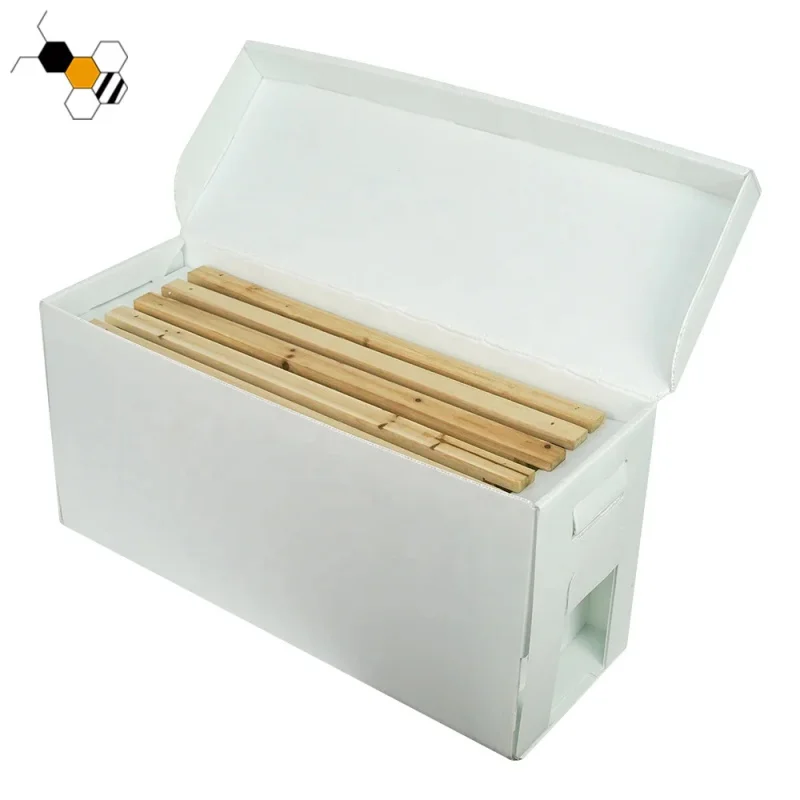

Customized PP 5 Frames Langstroth Cardboard Nuc Box Plastic Beekeeping Nucleus For Bees