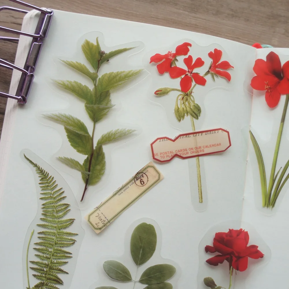 15 pcs Plant Specimens and Labels Design PVC Sticker Gift Tag Decoration Scrapbooking DIY Sticker