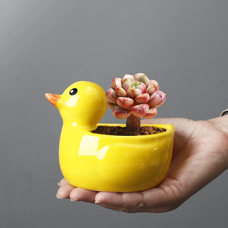 Cartoon Cute Yellow Duck Mini Succulent Flower Pot Lovely Table Green Planter Cactus Potted Small Bonsai Pots Home Decoration