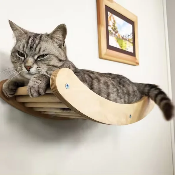 Wooden Floating Cat Shelf With Sisal Perch Sustainable Cat Condo Cat Lover Gift