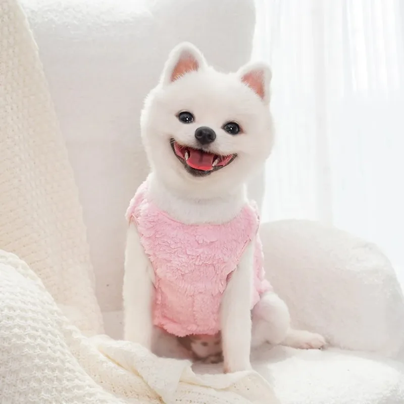 Dog clothes, winter puppies, pets, autumn and winter wool towing supplies, dogs, cats, cats