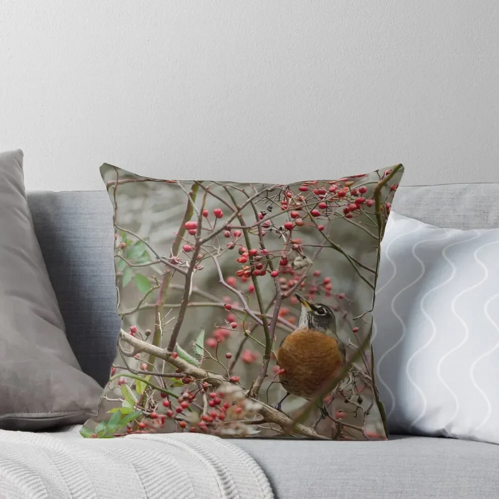 

Fall Robin Throw Pillow Pillowcases For Pillows christmas ornaments 2025 Cushions For Children christmas cushions covers pillow