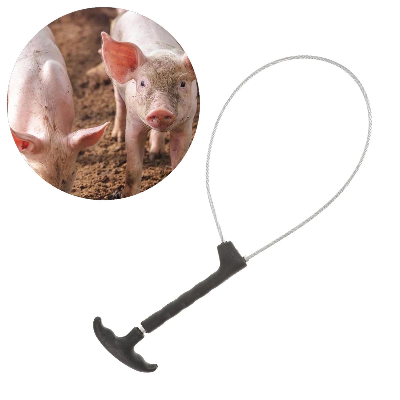 

Pig Holder Catcher Stainless Steel Wire Snare Livestock Tool Farm Goat Cattle Sheep Handler Adjustable Baoding Rope