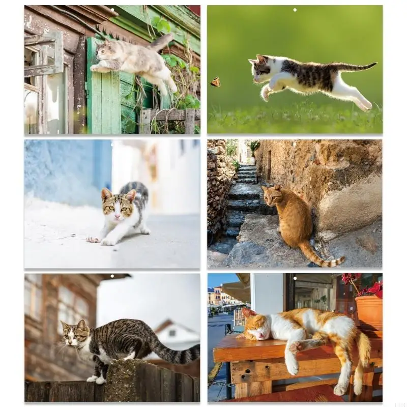 Artistieke Feline Wandkalender 2026 Dik Gerecycled Papier Duidelijke Nummering Praktische Ophanghaak Perfect Voor F19E