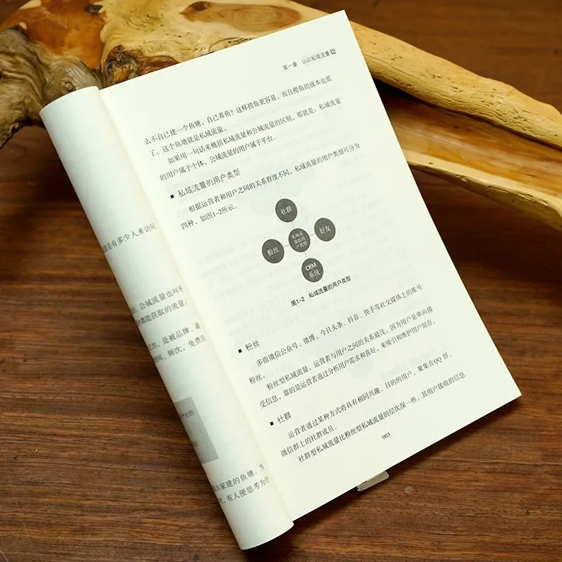 프라이빗 도메인 트래픽 실천 및 진정한 뉴미디어 운영 실천서 인터넷 웹미디어 홍보 팁