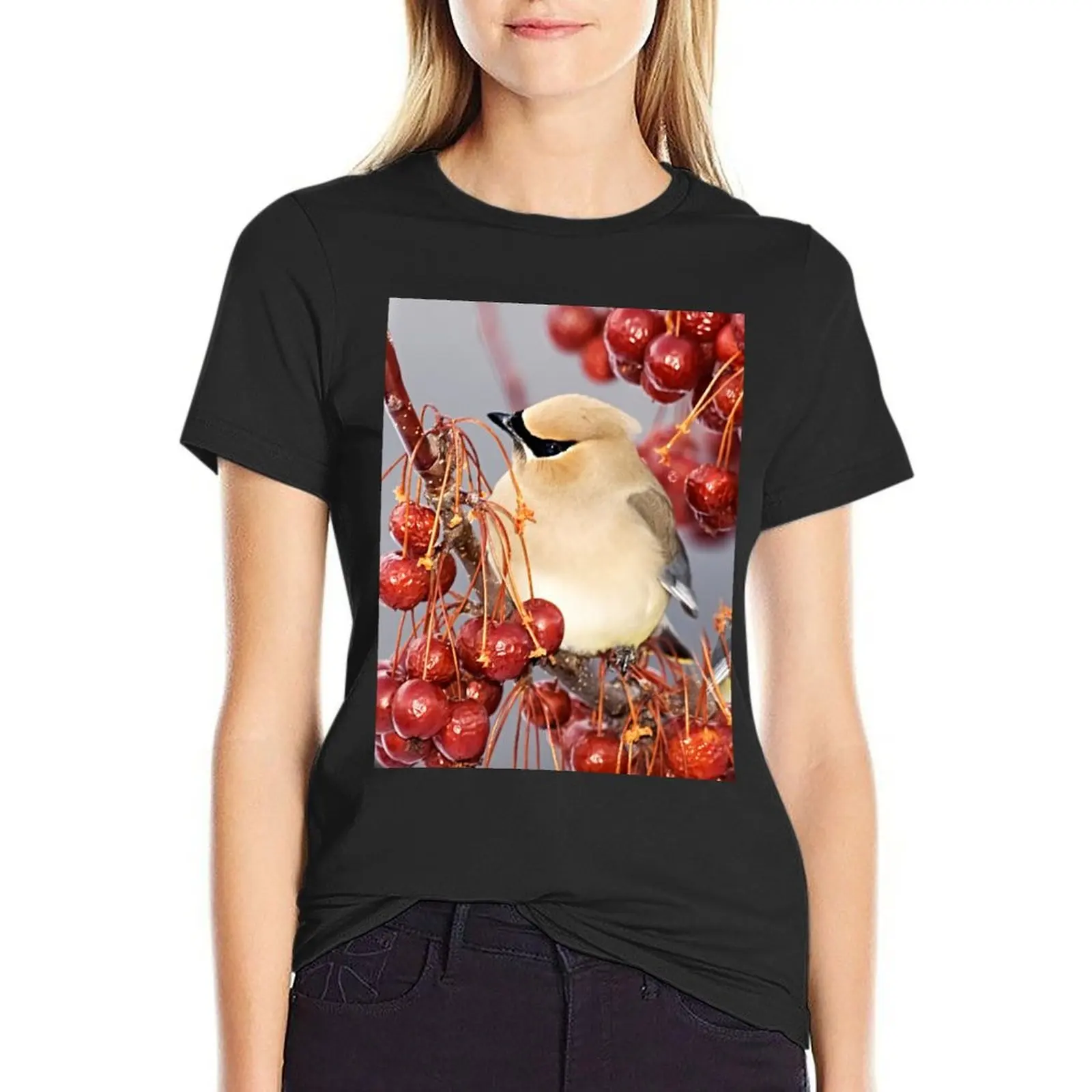 

Feathers and Cherries T-Shirt cute tops female western t-shirt dress for Women