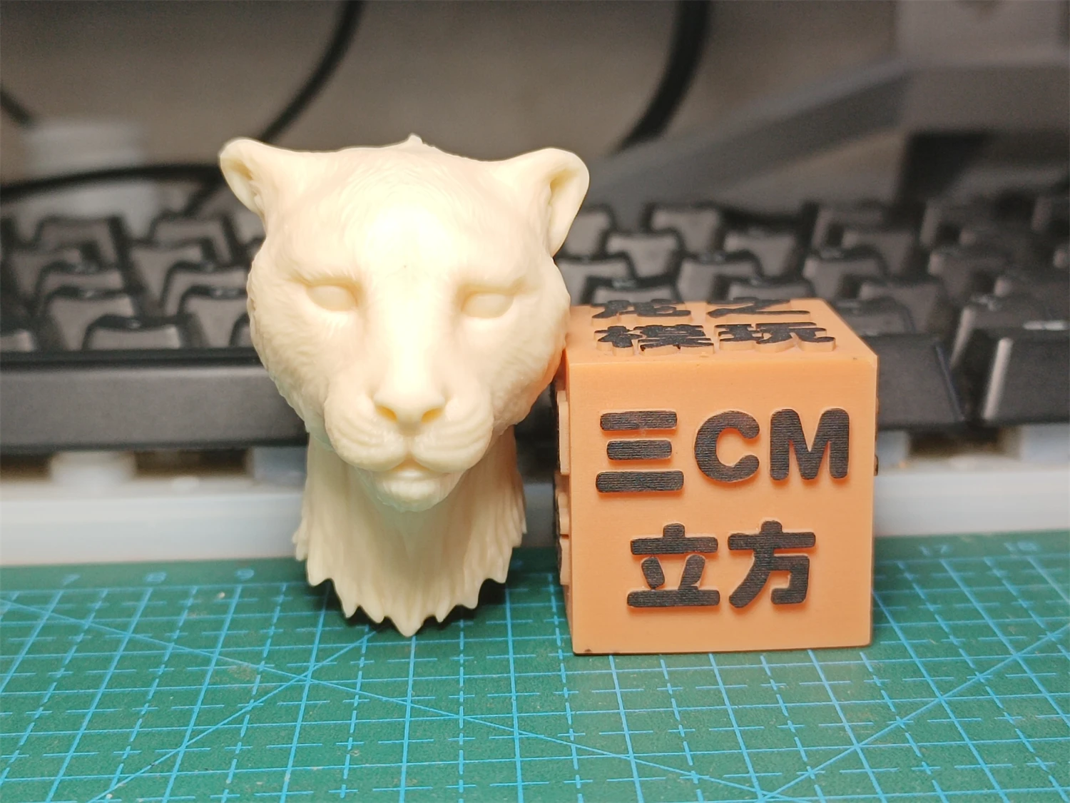 1/6 1/12 Unpainted Acinonyx Jubatus Cheetah Panther Head Carved Model Toys DIY Animal Action Figure