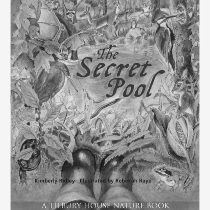 

The Secret Pool Kimberly Ridley Tilbury House 9780884483397 Book