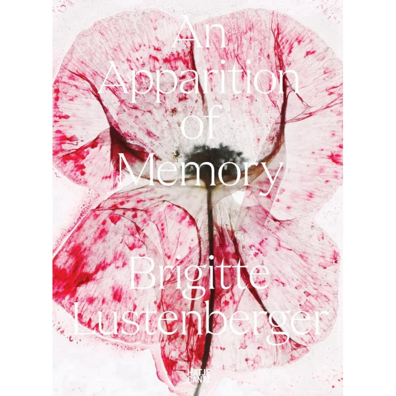 

Brigitte Lustenberger An Apparition Of Memory Nadine Barth And Kanton Bern Hatje Cantz Verlag 9783775755481 Book