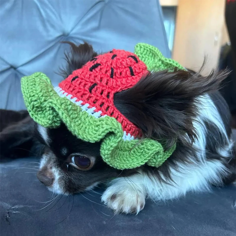 

Summer New Pet Crocheted Hat Watermelon Hat Cat Headdress Dog Accessories Bib Set Suitable for Taking Pictures