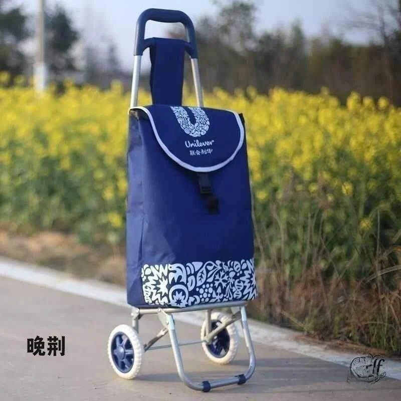 portable-shopping-cart-vegetable-buying-small-pulling-car-home-use-retractable-handle-stainless-steel-foldable-grocery-cart